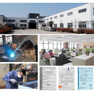 The Noodle Multi-functional Pasta Machine Processing Line Equipment