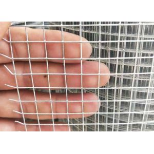 50M Galvanized Welded Wire Mesh Roll With Free Sample
