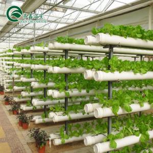 China Glass Covered Vertical Hydroponic System for Growing Vegetables Fruits and Flowers on sale