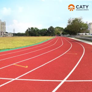 Public Running Track Epdm Jogging Track with Trackway Installation by Jogging
