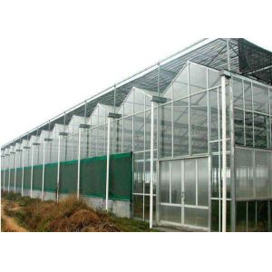 China Agricultural Polycarbonate Sheet Greenhouse Double Arch Multi Span Structure Frame on sale