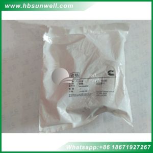 Cummins engine parts L10 M11 Thermostat Housing Plain Hose 3820667