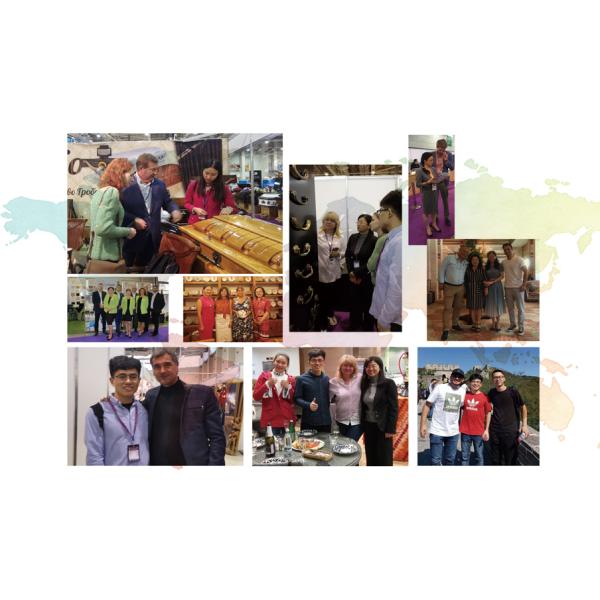 Irish Style Golden Ring 14x14cm Coffin Handles And Accessories