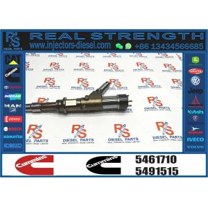 Common rail injector fuel injecto 4307475 4307468 5461710 5491515 for ISG Excavator Engine