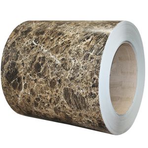 100-1500MM Width Color Coated Steel Coil for JIS/BS/EN/ASTM Standard Red Blue Green Prepainted Galvanized PPGI Coils