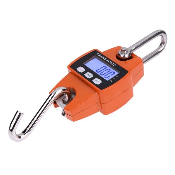 ODM Supported Electronic Crane Scale with 300kg Capacity and LCD Display for