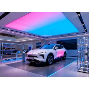 500x247mm Dual-color Flexible LED Sheet For Ceiling Soft Film Lighting SPI RGBW