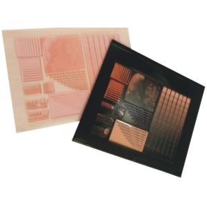 1.25sqm/hour Flexo CTP Machine for Label Printing Polymer Plate Making