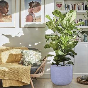 Grey Mottle Lightweight Tall Oval Concrete Planter Pots | Unique Design |