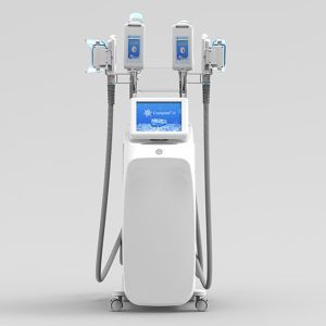 Cheap Beauty Salon Mini Cryolipolysis Fat Freezing Machine for sale
