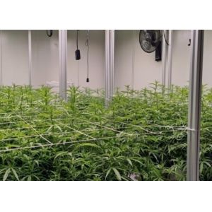 Custom Aeroponics Hydroponics System / Substrate System Intelligent Planting