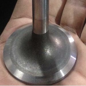 China Custom Autoparts N20 Engine Intake Valve And Exhaust Valve OEM 4007004Z-S on sale