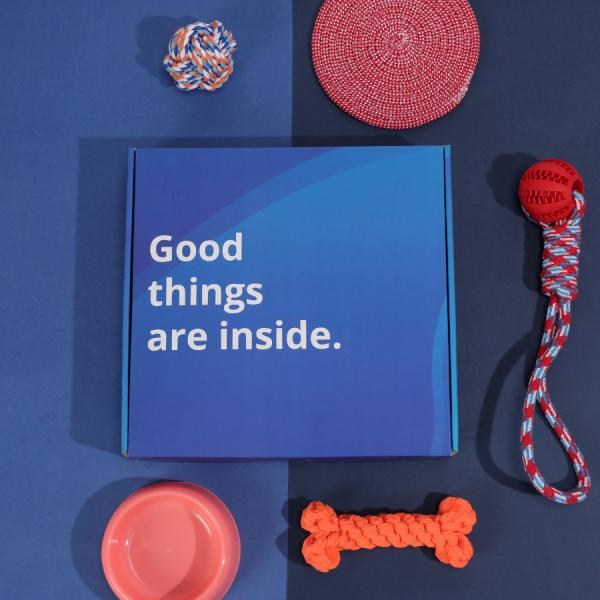 Biodegradable E-commerce Cardboard Pet Subscription Shipping Box with Printing