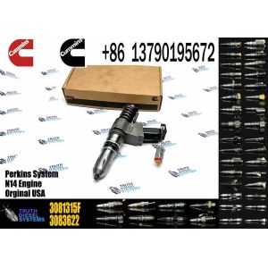 Generator Diesel Engine N14 Fuel Injector 3407776 3409975 4902924 3081315F