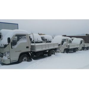 6 Wheels Mini Cargo Truck DFA1021FZ18Q 4 x 2 Driving Mode With LHD / RHD