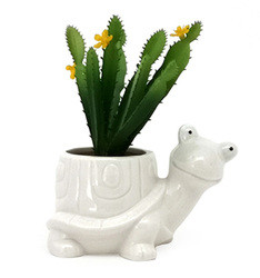 Hot sale custom white stoneware succulent 3D Snail shaped flower succulent pots