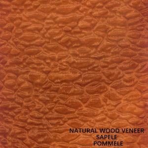 China Africa Natural Sapele Wood Veneer Exotic Grain Pommele For Pianos And Furniture Faces on sale