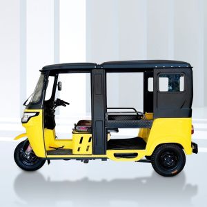 Three Wheeler Auto Rickshaw for 6 Passengers Grade Ability ≥25° and Tire Size 4
