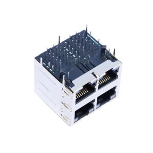 0895-2S2R-FM Stacked RJ45 2X2 With 10 / 100 Base - T Connector LPJG27043A4NL