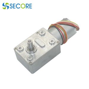 50W bldc Brushless Worm Gear Motor 2000rpm With Braker D Shaft