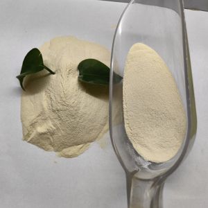 Organic Calcium Formulation for Shrimp Feed Additives Anti-stress and Improved