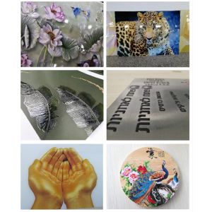 Resolution UV Inkjet Rigid And Flexible Materials Flatbed Printer With Steel