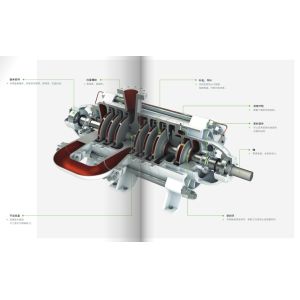 Dfds Horizontal Multi-Stage Centrifugal Pump