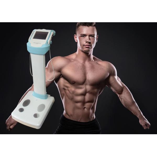 Precise Obesity Analysis Body Composition Analyzer / Body Fat Analysis Machine