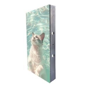 Indoor Fixed LED Display With Separated Power Box And Quick Switch