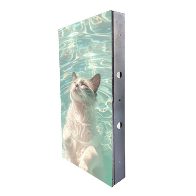 Quality Indoor Fixed LED Display With Separated Power Box And Quick Switch wholesale