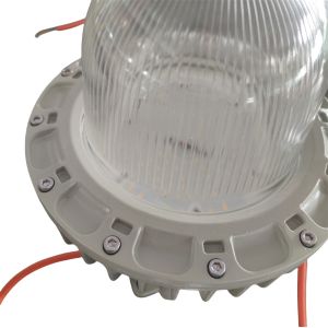 Safety Ex-Proof LED Lighting High Bay CEILING IP66 WF2 for Oil&Gas Zone 1 3000lm
