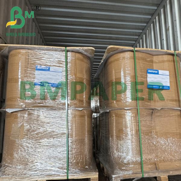 Quality 50gsm Heat Seal Food Grade Brown Filter Paper Roll For Coffee wholesale