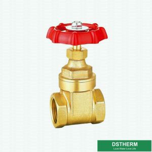 Customized Brand Brass Gate Valve Cast Iron Handle Double Female Heavier Type