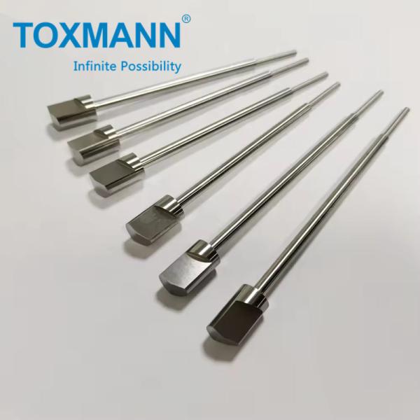 Customized High Quality Mold Core Mold Insert Mold Parts for Plastic Injection