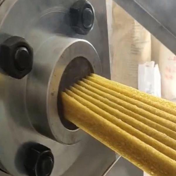 Double Color Pet Treat Machine For Chews Food 120KG/H Capacity