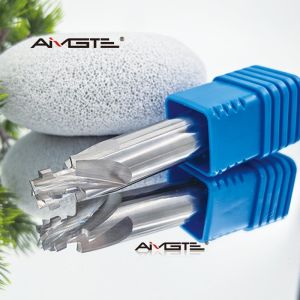 T Slot Tungsten Carbide Engraving Bit for Acrylic PS CNC Router Milling Cutter