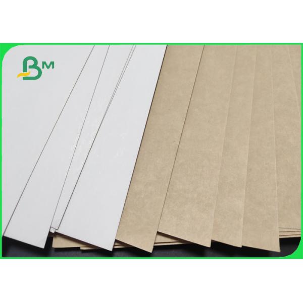 coated food container board 100% compostable Single Side White Coated Food Paper Board 325gsm