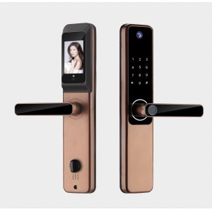 Qleung S802Pro HD Camera Intelligent Fingerprint IC Card Key with WiFi