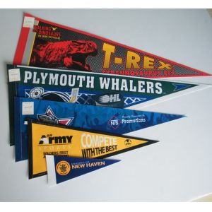Custom 30*76cm Felt Pennant Flag , Digital Printing Hanging Triangle Flags