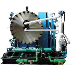 China Diaphragm Compressor Gas Air Hydrogen High Pressure Oil-free Hydrogen Nitrogen Gas Reciprocating on sale