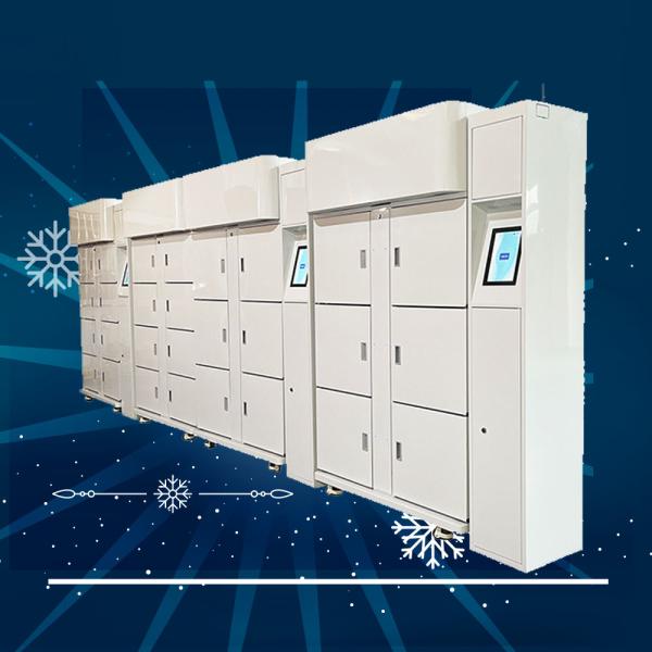 Quality Winnsen Smart Refrigerated Fresh Food Package Storage Delivery Locker wholesale