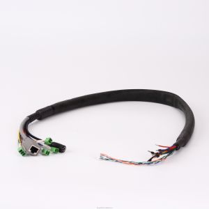 Customized Design 20AWG Wire Harness with 100% Testing Inspection and RoHS