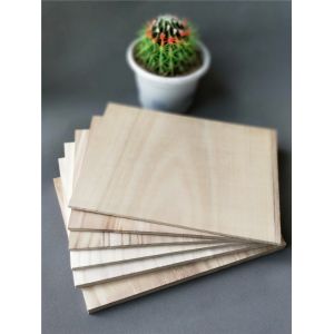 Unisex Training Taekwondo Boards Natural Color Customized Logo Printing