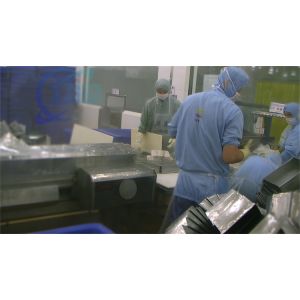 Shrimp Automatic Separating Tray Machine Seafood Processing Plant Thawing Tray