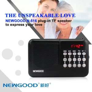 SD card plug in NEWGOOD digital radio music player speaker