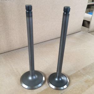 Automobile Engine Valve B13 GA16 Intake Exhaust Valve For Nissan 13201-53Y00