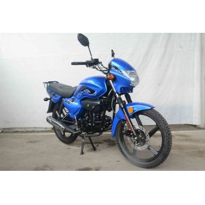 Hero 110CC Horizontal Engine Street Motorcycle 3-Bones Alloy PZ17 Carburter