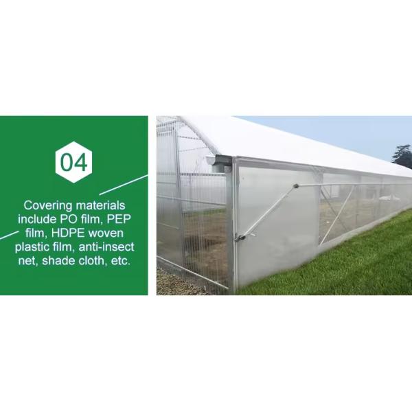 Economical Low Cost Plastic Film Single-span Poly Tunnel Galvanized Greenhouse Tent