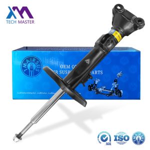 2033201330 Mercedes Benz C203 Coil Spring Shock 2004-2008 Front Shock Absorber