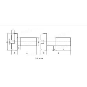 M5*12 Titanium Pan Head Slotted Screw With DIN84